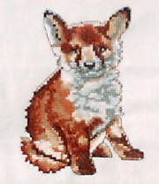 foxnikolarr.jpg